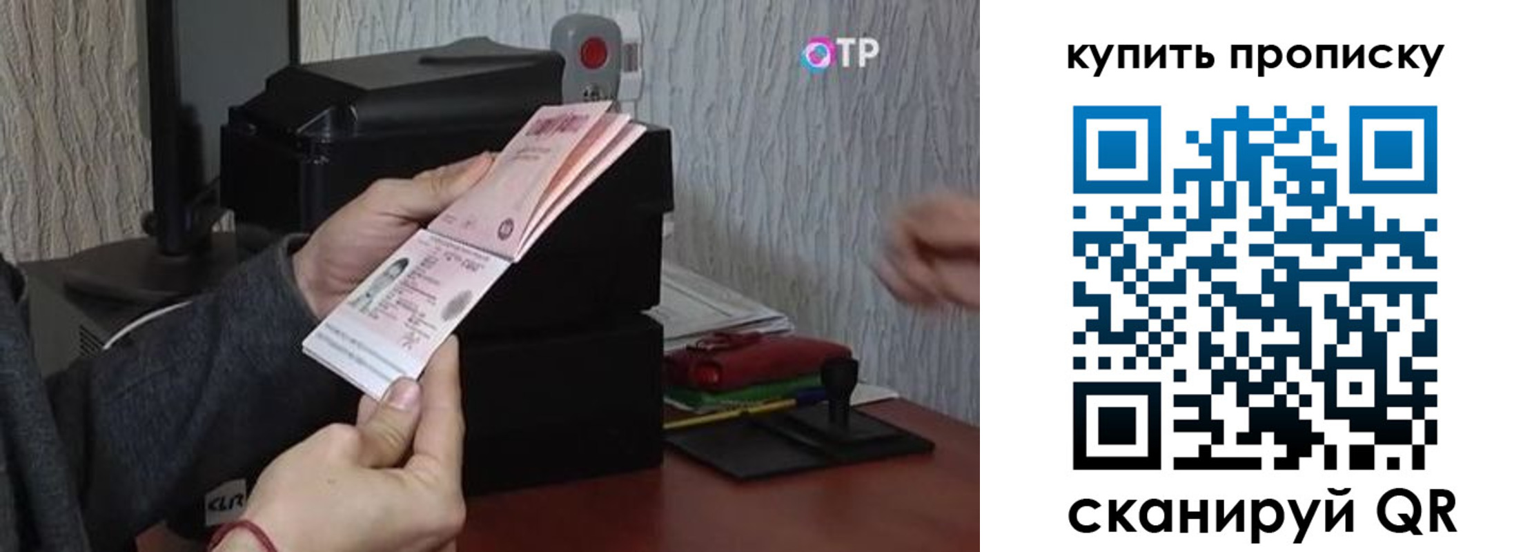 прописка гарантия в Благовещенске